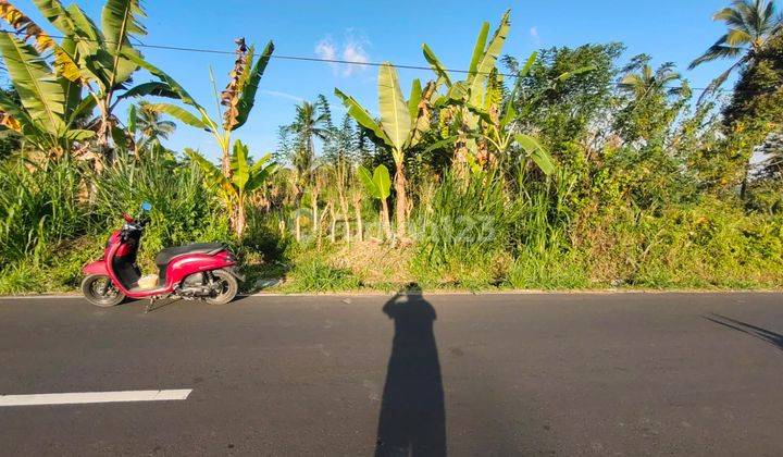 Tanah di Payangan, Gianyar Dekat Resort Hanging Garden 1