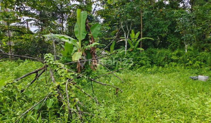 Tanah Tegallalang View Jungle Dekat Pasar Dan Waterfall 2