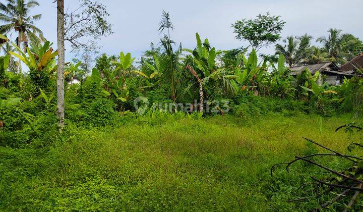 Tanah Tegallalang View Jungle Dekat Pasar Dan Waterfall 1