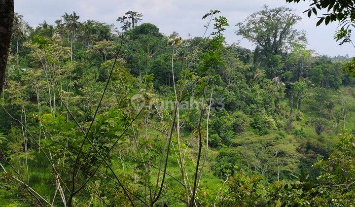 Tanah di Tegallalang Gianyar View Sawah Hutan Sungai Dekat Wisata 2