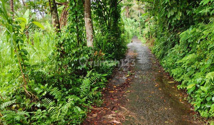 Tanah di Tegallalang Gianyar View Jungle Kontur Tanah Datar 2