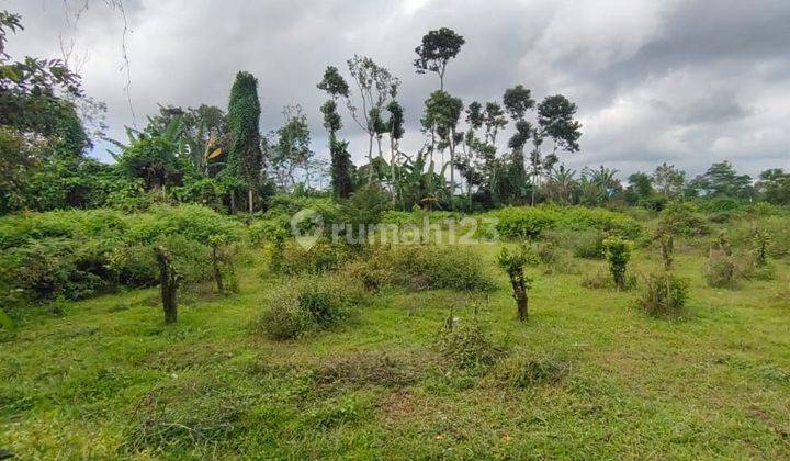 Tanah di Tegallalang Sekaan, Gianyar Hawa Dingin 2