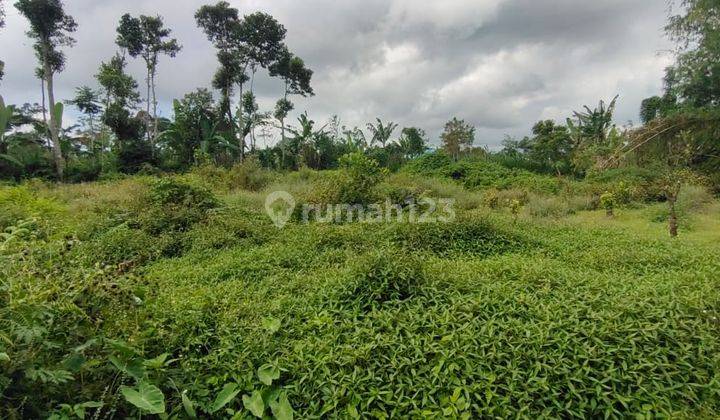 Tanah di Tegallalang Sekaan, Gianyar Hawa Dingin 1