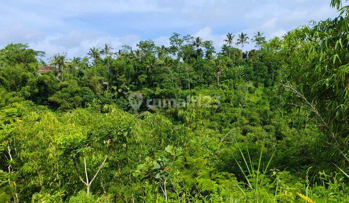 Tanah di Tegallalang, Gianyar View Hutan Sungai Dan Gunung 2