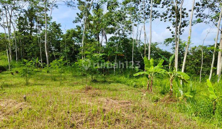 Tanah di Tegallalang, Gianyar View Hutan Sungai Dan Gunung 1