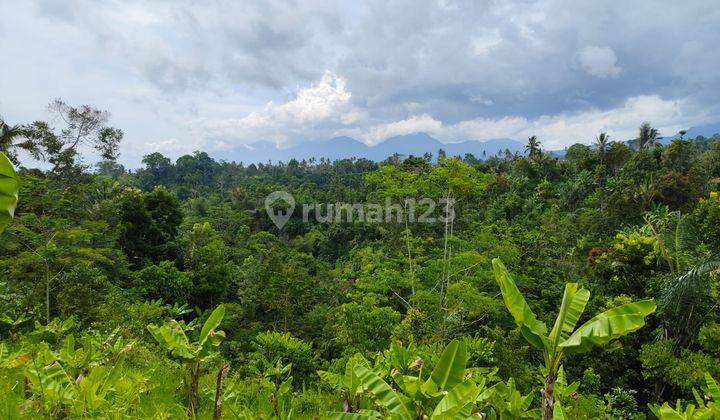 Tanah Payangan Gianyar Dekat Kebun Raya Gianyar View Lembah 2