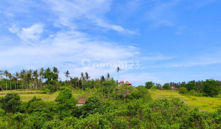 Tanah Sukawati Gianyar Bali View of Eternal Jungle Valley and River  1