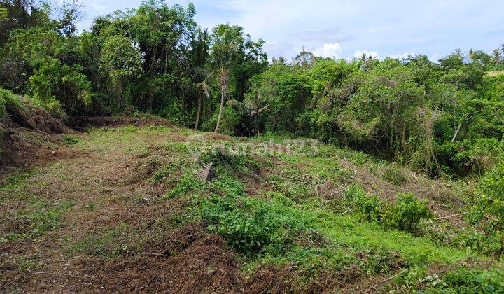 Tanah Sukawati Gianyar Bali View of Eternal Jungle Valley and River  2