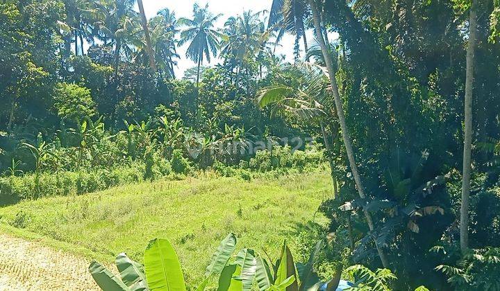 Tanah Ubud Bali View Sawah Dan Jungle 3 Menit Ke Puri Ubud 2