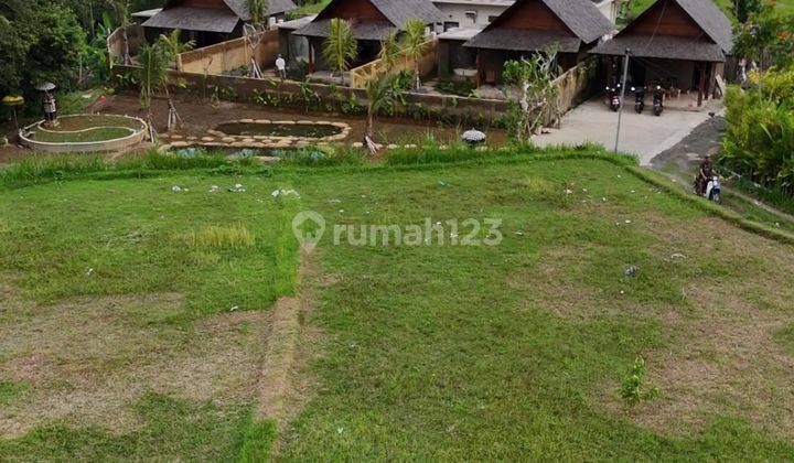 Tanah Pupuan Tegallalang Villa View Sawah Area 1