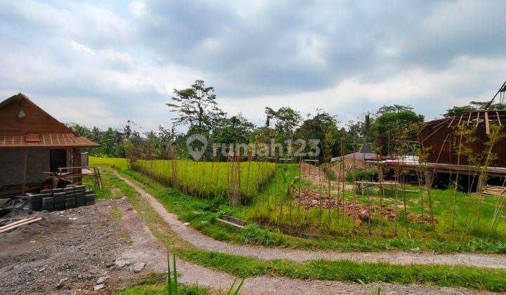 Tegallalang Land View Sawah Area Has Many Villas 1