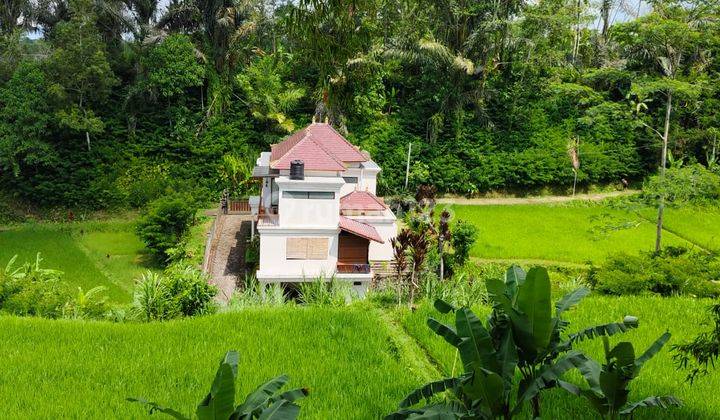 Tegallalang Land View Jungle Rice Fields and Valley Villa Area 1