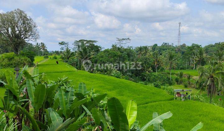 Tegallalang Land View Jungle Rice Fields and Valley Villa Area 2