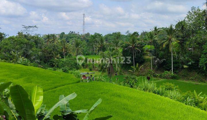 Tegallalang Land View Jungle Rice Fields and Valley Villa Area 2