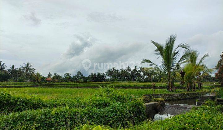 Tanah Ubud 15 Minutes From Puri Area Resort 1