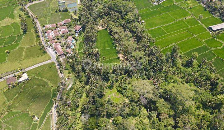 Tanah Tegallalang has a waterfall 15 minutes from Ubud 2