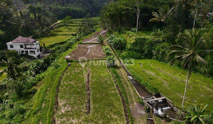 Tanah Tegallalang View Sawah Ada Sungai  2