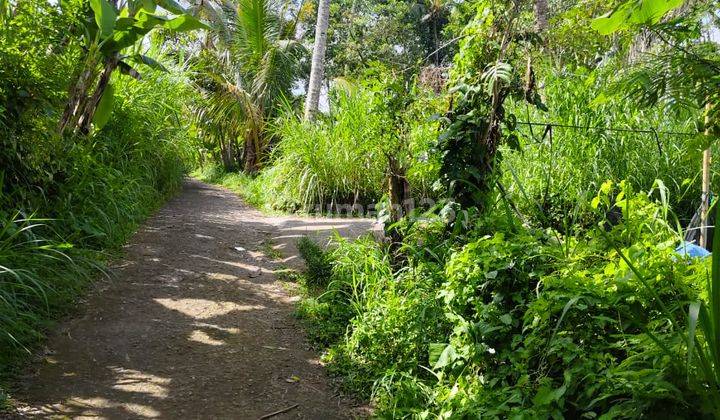 Tegallalang Garden Land, Bali, Flat Land Contour 1