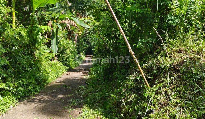 Tegallalang Garden Land, Bali, Flat Land Contour 2