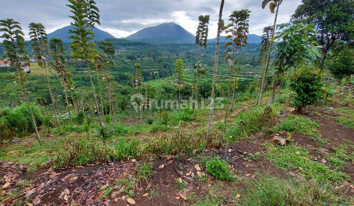 Tanah Perkebunan Tabanan Bali View Bagus  1