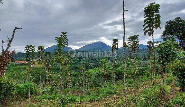 Tanah Perkebunan Tabanan Bali View Bagus  2