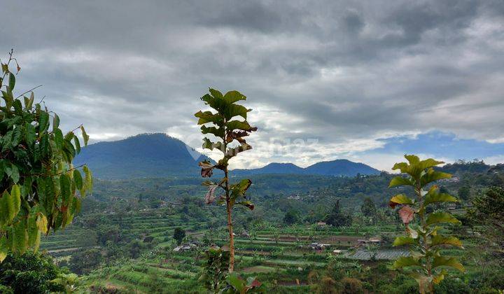 Tabanan Bali Plantation Land with Good View  2