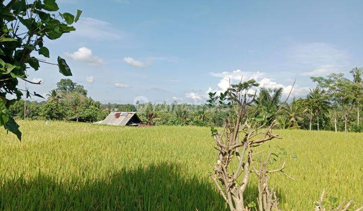 Tanah Tegallalang View Sawah Dan Gunung Agung 1