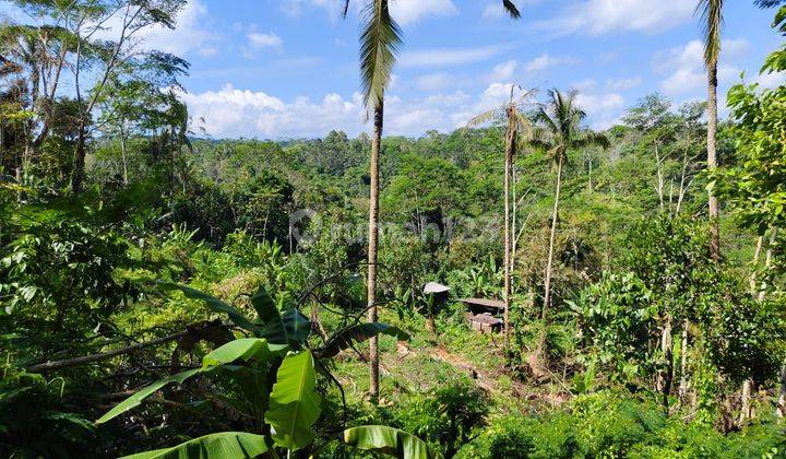 Tanah Sebatu Gianyar View Sawah Jungle Dan Lembah 1