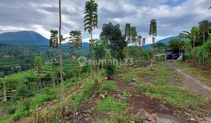 Balinese land, bedugul location suitable for resort 1