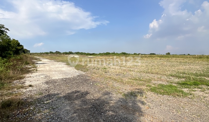 Land for Rent in Osowilangon Near Teluk Lamong Land for Rent in Osowilangon Near Teluk Lamong