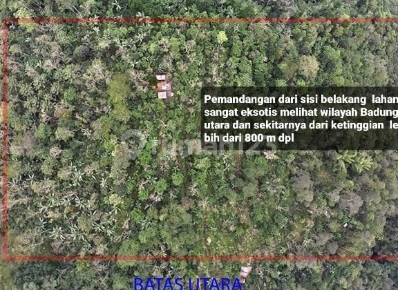 Kintamani Zero Land Tourism Area Valley View Road