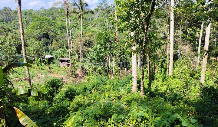 Tanah Sebatu Gianyar View Sawah Jungle Dan Lembah 2