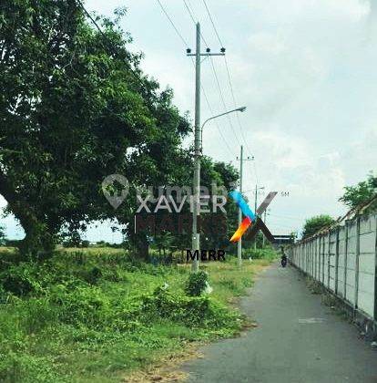 Dijual Tanah Super Luas Pilang Probolinggo Dekat Gudang Sinarmas 3
