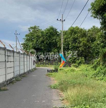 Dijual Tanah Super Luas Pilang Probolinggo Dekat Gudang Sinarmas 6