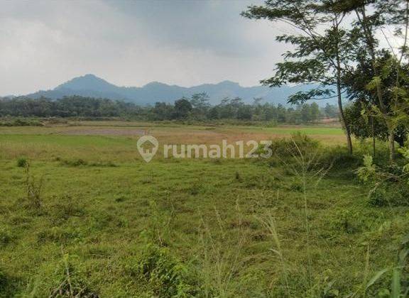 Tanah di Tegal Sapi Cipinang, Rumpin Kab. Bogor 20997 m² SHM 2