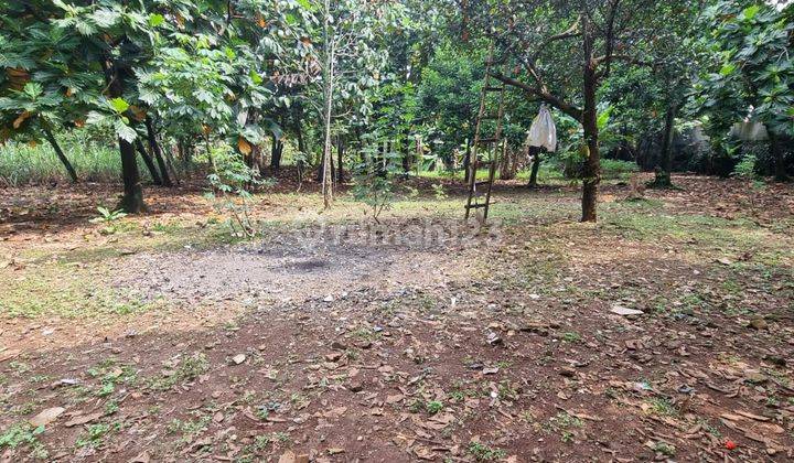 Kavling Siap Bangun Daerah Cirendeu Pisangan Ciputat Timur