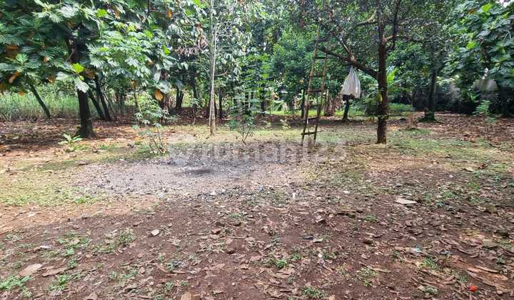 Kavling Siap Bangun Daerah Cirendeu Pisangan Ciputat Timur 7