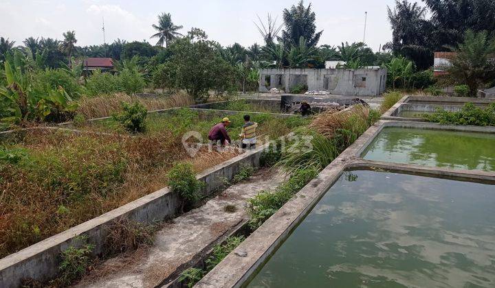 Murahhh...Tanah Kavling di daerah Wisata Pantai Putri Pantai Cermin Deli Serdang