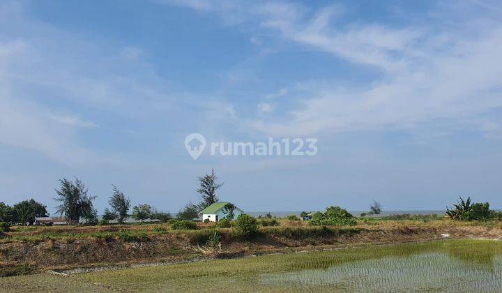 Murahhh...Tanah Kavling di daerah Wisata Pantai Putri Pantai Cermin Deli Serdang