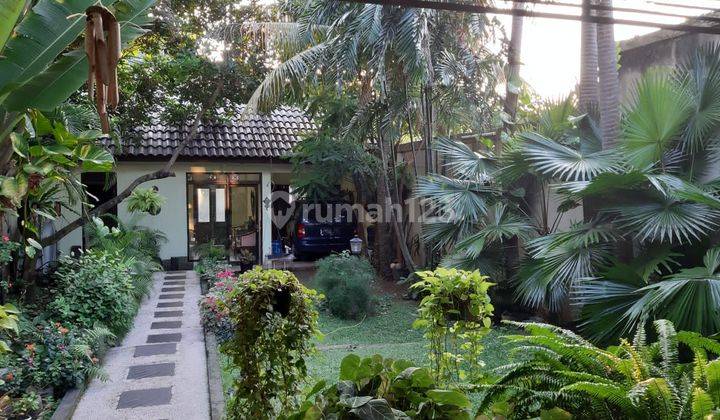 Rumah Asri Siap Huni Dengan Halaman Dan Taman Luas di Perumahan Bintaro Sektor 9 2