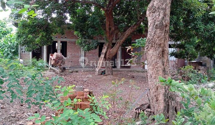 Tanah Kavling Siap Bangun Lokasi Strategis Dekat Kampus di Yogyakarta 