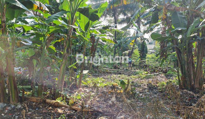 Tanah Lokasi Startegis Dekat Industri Pinggir Jalan Gunung Putri Bogor 2