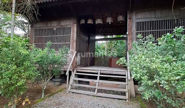 Dijual Rumah Kebun Pribadi Seluas 1,2ha di Yogyakarta,hunian Asri 2