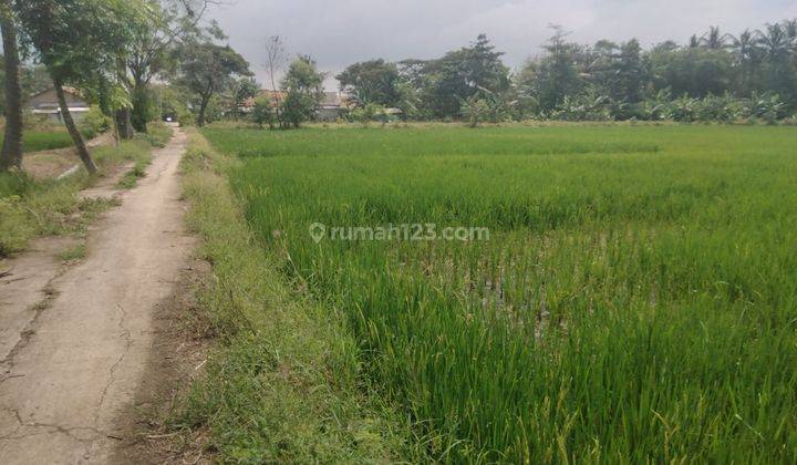 Tanah Tambelang Sukawangi Kab Bekasi Luas 1 Hektar Rp 1 Milyar  2