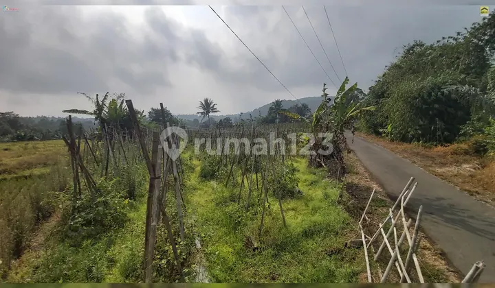 Tanah Luas Udara Sejuk 1,6 Hektar di Wanayasa, Cocok untuk Villa atau agrobisnis/pertanian