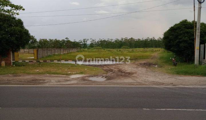 Tanah Murah di Lingkungan Industri Kaliwungu 1