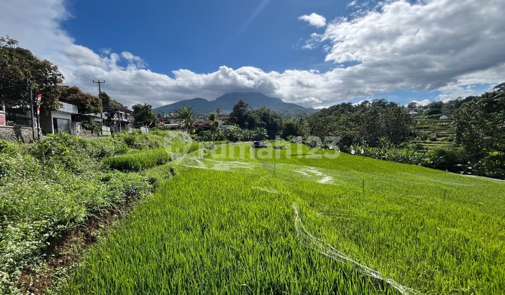 Tanah Sangat Cocok untuk Perumahan di Ujung Berung Kota Bandung Tanah Sangat Cocok untuk Perumahan di Ujung Berung Kota Bandung