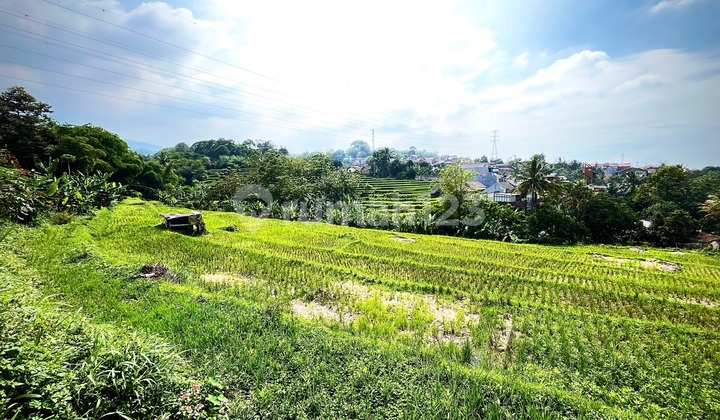 Jual Tanah Sangat Cocok untuk Cluster Perumahana Dll