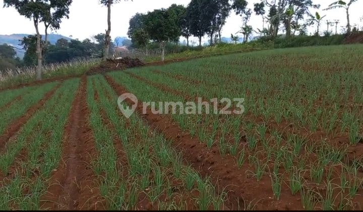 Dijual Tanah Di Bandung Utara Belakang Resor Dago Pakar Dengan Pemandangan Kota Bandung Dan Bukit