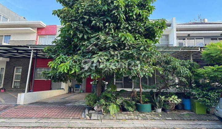 Green Mansion 8x19m2 Jarang Ada Rumah 1